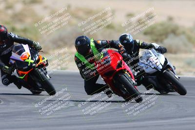 media/Apr-13-2024-SoCal Trackdays (Sat) [[f1617382bd]]/11-Turn 16 (150pm)/